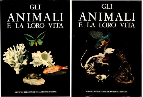 Gli animali loro vita - animali,