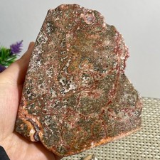 347 g pelle di leopardo