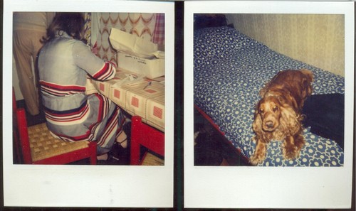 Polaroid due autentiche - polaroid,