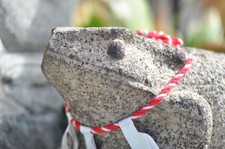 Nikon NUOVO OBIETTIVO NIKKOR