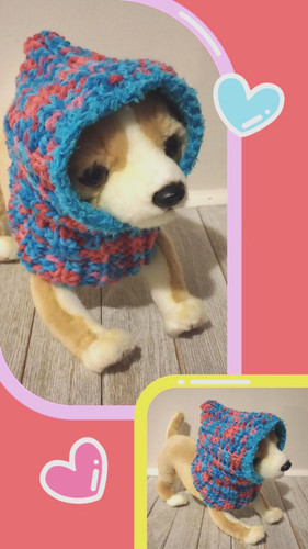 Cappello cappuccio cane - cappello,