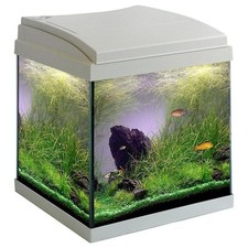 Acquario MTB  Milo 30 Cubik Ledline 24 Lt 30x29x36h nero completo di accessori