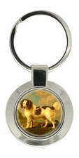 Portachiavi Norfolk Spaniel Di