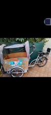 Panda Bike Cargo Elettrica 