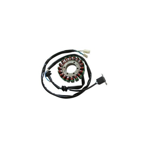 Magnete statore alternatore - magnete,