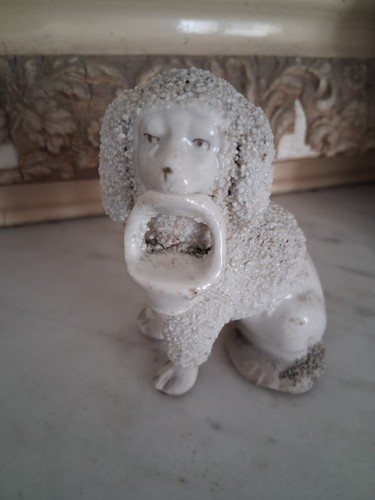 Staffordshire poodle no526 - staffordshire,