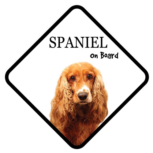 Cocker spaniel board car - cocker, on