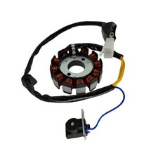 Statore magnete a 12 poli