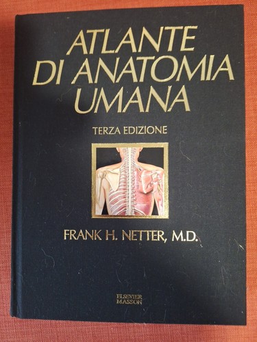 Atlante anatomia umana con - atlante, umana.