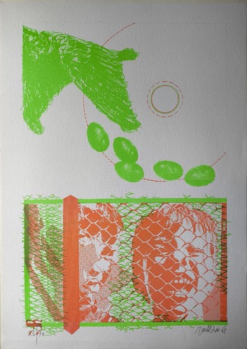 Litografia valeriano - litografia, di