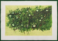 Giancarlo Cazzaniga - Senza