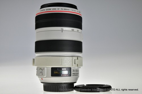 Canon 300mm 5 6 l - canon, is