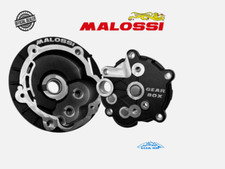 2519075 CARTER MALOSSI GEAR