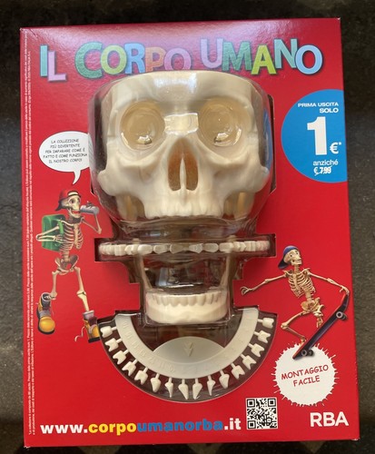 Costruisci corpo umano - corpo,