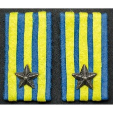 Mostrine del 291º Reggimento