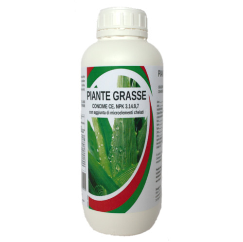 Bio alt piante grasse - bio,