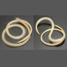 Autentico violino mongolo