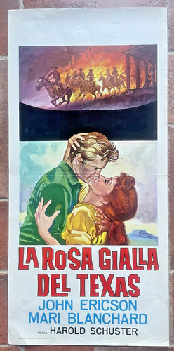 Locandina rosa gialla del - locandina, la