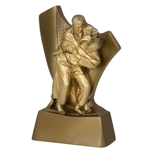 Trofeo judo cm arti - 10,00,