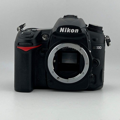 Nikon d7000 megapixel - 16,2,
