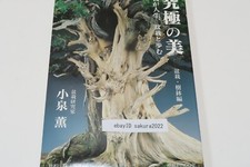 Keido Katayama ryu Bonsai and Jubachi Kaoru Koizummi Preface by Masahiko Kimura