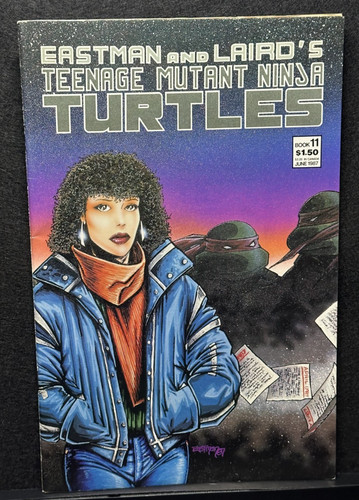 Teenage mutant ninja turtles - ninja,