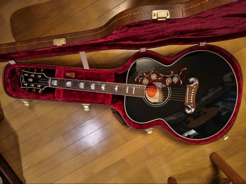 Chitarra elettrica acustica