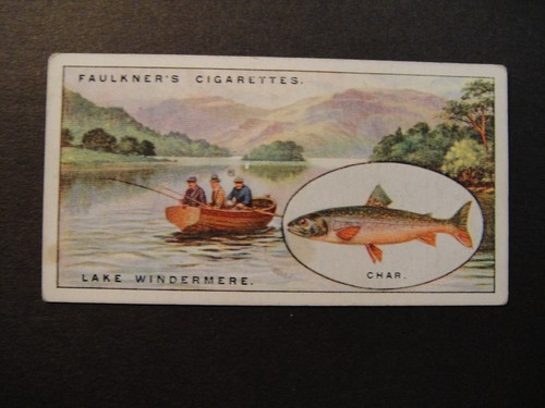 Faulkner cigarettes angling - cigarettes,