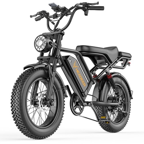 Bike fat tire 250w - tire,