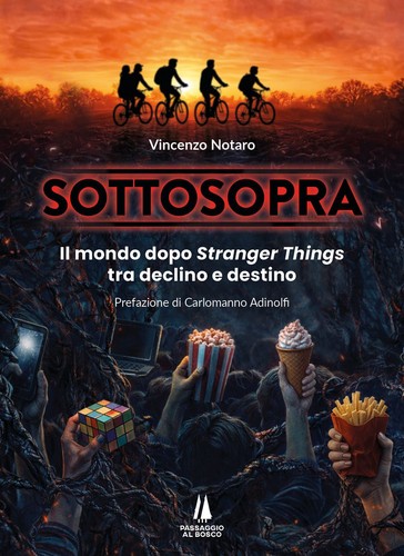 Libri notaro vincenzo - libri,