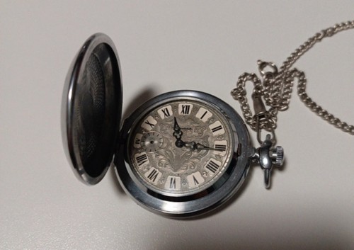 Orologio molnija tasca - da,
