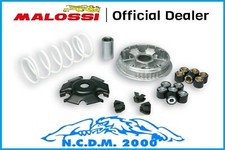 Malossi variatore multivar - malossi,