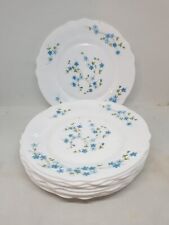 ARCOPAL FRANCE PIATTI DESSERT FRUTTA VERONICA MYOSOTIS FIORI BLU cm. 19