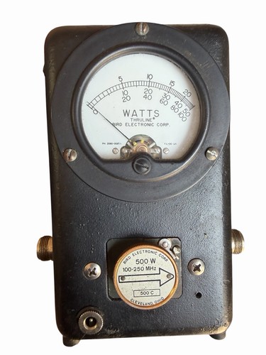Wattmetro thruline bird - wattmetro,