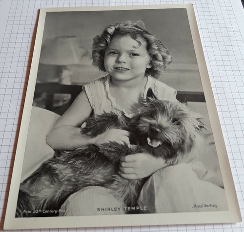 Attrice shirley temple - temple, xl