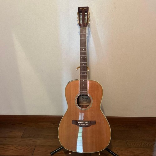 Chitarra elettrica acustica