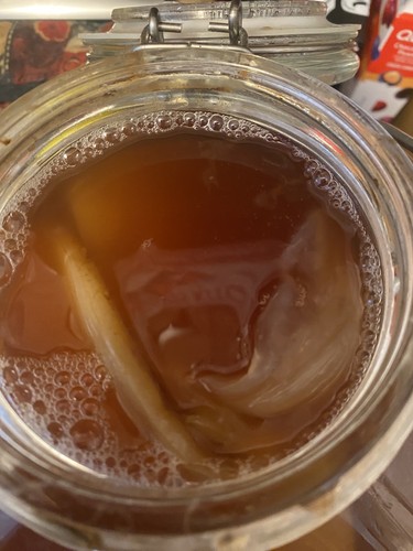 Kombucha tazza tè - kombucha, di