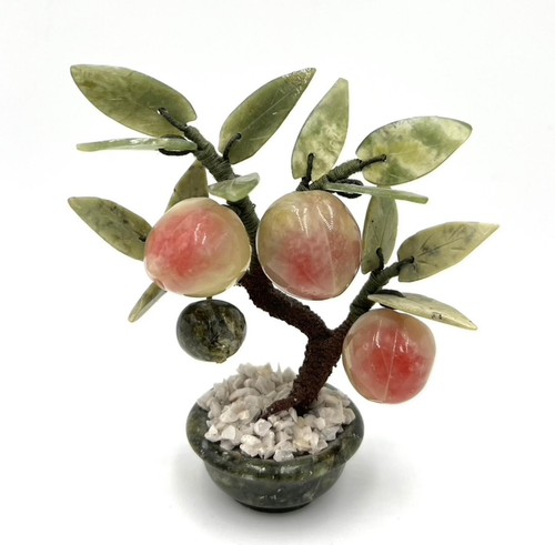 Bonsai giada pesco in - bonsai,