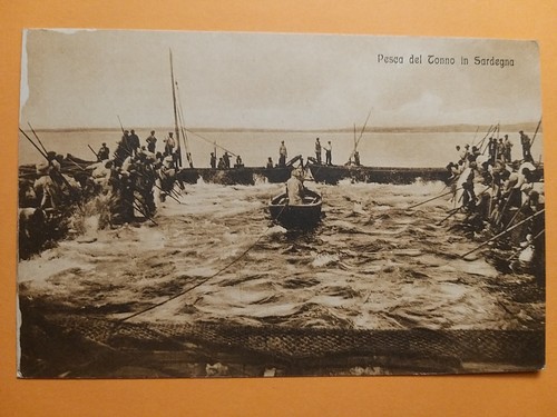 Pesca del tonno sardegna - tonno, sardegna.