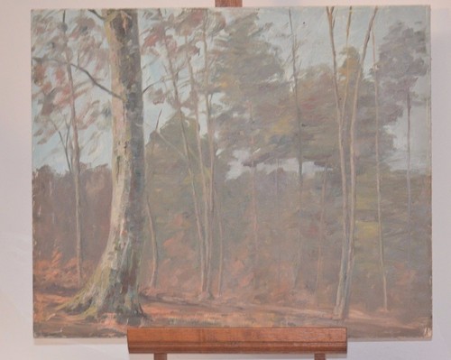Antico cornice quadro - 4,