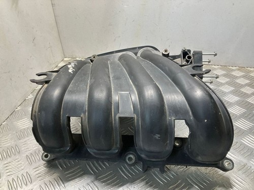 Collettore aspirazione benzina