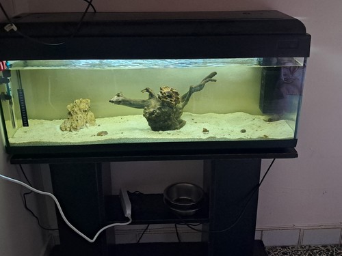 100l acquario completo