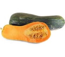  Zucca Zucca Lunga di Napoli Semi di Zucca