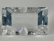 Statuina Swarovski 898130