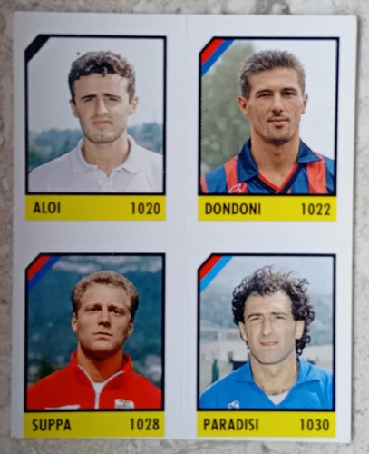 Figurina micro calcio 1991 - figurina,