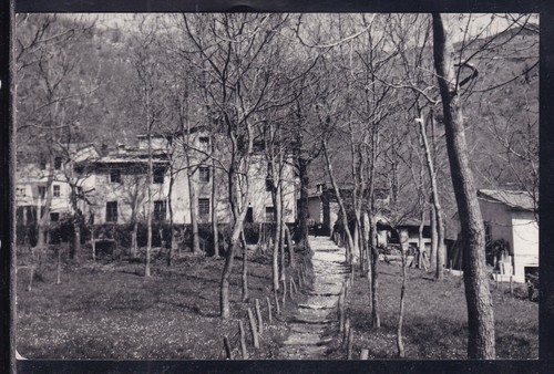 Cartolina palagnana alpi - cartolina,