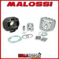 3113865 GRUPPO TERMICO MALOSSI