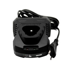 Parkside x12v Team caricabatteria 12V 2Ah universale PLGK 12 strumenti 12 volt b