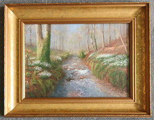 SNOWDROPS In Valley Wheddon