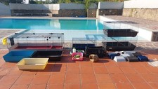 GABBIE CONIGLI CRICETI CAVIE PIU' OGGETTI VARI